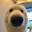 Icon of BOOP